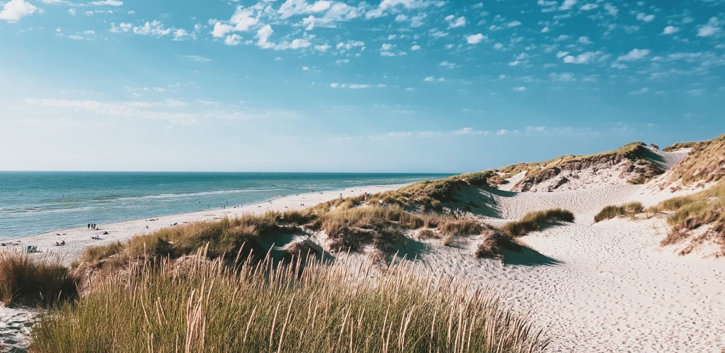 mare con spiaggia chiara